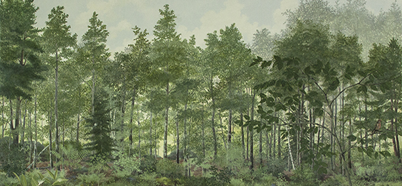 Field and Forest Mural